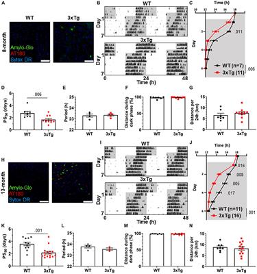 Altered circadian behavior and light sensing in mouse models of Alzheimer’s disease